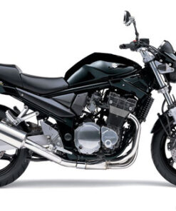 1996-1999 Suzuki GSF1200 / S Service Repair Manual Download