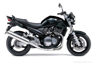1996-1999 Suzuki GSF1200 / S Service Repair Manual Download