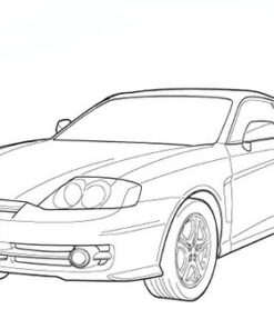 2001 Hyundai Tiburon Owners Manual Download